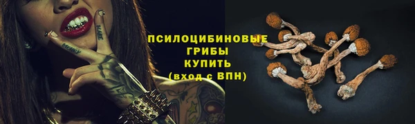 ALPHA PVP Вяземский