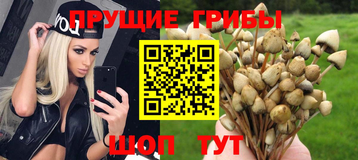 Галлюциногенные грибы Magic Shrooms  Псилоцибиновые грибы мухоморы  Мценск  магазин  наркотиков  Вход с VPN 